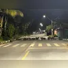 Morte das capivaras é tratada como resultado de caça ilegal