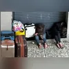 A trajetória das duas mulheres veio à tona em junho do ano passado