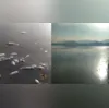 Mortandade de peixes atingiu a Lagoa de Piratininga