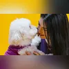 Imagem ilustrativa da imagem Você tem o hábito de 'beijar seu pet?' O que você precisa saber
