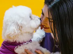 Você tem o hábito de 'beijar seu pet?' O que você precisa saber
