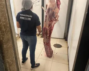 Imagem ilustrativa da imagem Açougue com carnes no chão é interditado na Zona Oeste do Rio