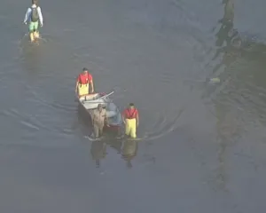 Imagem ilustrativa da imagem Agonia sem fim: Caxias debaixo d'água após rio transbordar