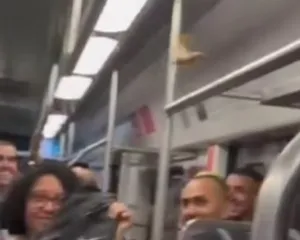 Imagem ilustrativa da imagem Barata voadora em trem causa pavor e risadas no Rio; vídeo