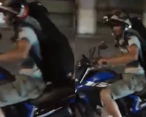 Imagem ilustrativa da imagem Bode é transportado em garupa de motocicleta; vídeo