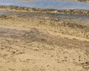 Imagem ilustrativa da imagem Cadê a areia? Fenômeno muda paisagem de praia badalada de Búzios