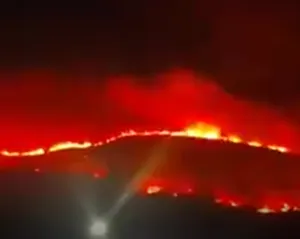 Imagem ilustrativa da imagem 'Fogaréu' em vegetação assusta moradores de São Gonçalo; vídeo