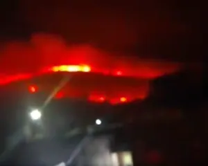 Imagem ilustrativa da imagem Incêndios em mata aumentam 40% em Niterói, São Gonçalo e Maricá