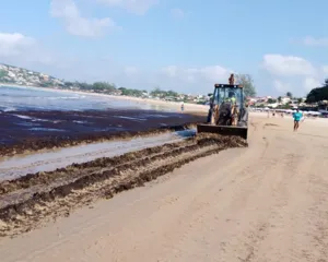 Imagem ilustrativa da imagem 'Sem indício de esgoto', diz prefeitura sobre praia de Búzios