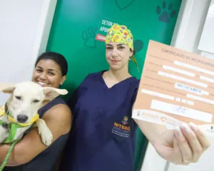Imagem ilustrativa da imagem Serviços para cães e gatos serão oferecidos em Niterói no sábado