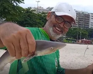Imagem ilustrativa da imagem Tubarão em Icaraí? Pescador fisga predador na praia