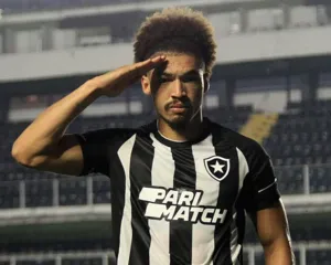 Imagem ilustrativa da imagem Zagueiro do Botafogo é absolvido e Textor é suspenso pelo STJD