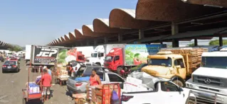 Imagem ilustrativa da imagem Ação desvenda insalubridade em mercado de carnes do Ceasa