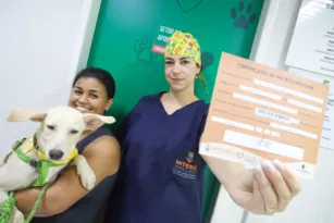 Imagem ilustrativa da imagem Ação promove serviços gratuitos para cães e gatos em Niterói