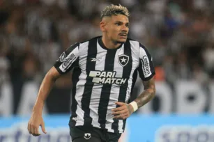 Imagem ilustrativa da imagem Botafogo renova com atacante Tiquinho Soares até 2026