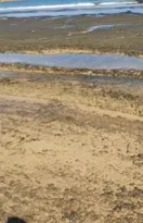 Imagem ilustrativa da imagem Cadê a areia? Fenômeno muda paisagem de praia badalada de Búzios