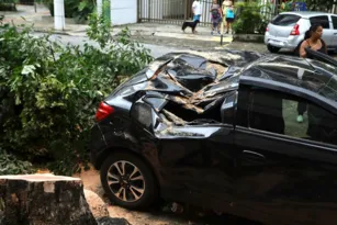 Imagem ilustrativa da imagem Carro fica destruído após queda de árvore em Niterói
