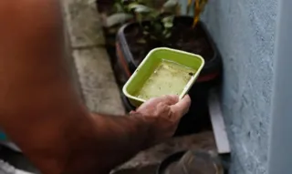 Imagem ilustrativa da imagem Com alta de casos, epidemia de dengue é decretada no estado do Rio