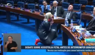 Imagem ilustrativa da imagem Contadora de histórias faz encenação de aborto no Senado; vídeo