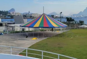 Imagem ilustrativa da imagem De graça! Festival de Circo promete agitar o Caminho Niemeyer