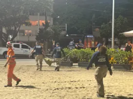 Imagem ilustrativa da imagem Descobertas mercadorias enterradas na praia de Copacabana