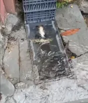 Imagem ilustrativa da imagem Desperdício! Furto de hidrômetro gera caos na Zona Sul de Niterói