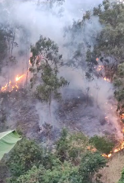 Imagem ilustrativa da imagem Fogo assusta moradores da Zona Norte de Niterói; vídeo