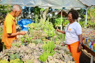 Imagem ilustrativa da imagem Garis cultivam plantas para reflorestamento em Niterói