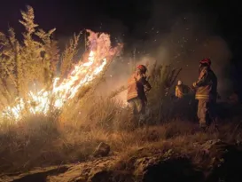 Imagem ilustrativa da imagem Incêndio já dura mais de 24h no Parque Nacional do Itatiaia