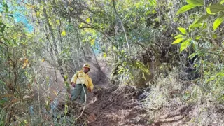 Imagem ilustrativa da imagem Incêndio no Parque Nacional do Itatiaia é controlado após oito dias