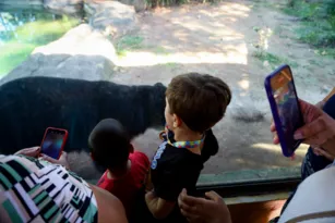 Imagem ilustrativa da imagem Inclusão: Clínica leva crianças com autismo a passeio no Bioparque