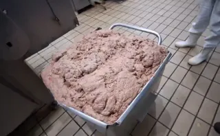 Imagem ilustrativa da imagem Mais de 1 tonelada de carne em frigorífico vai parar no lixo; vídeo