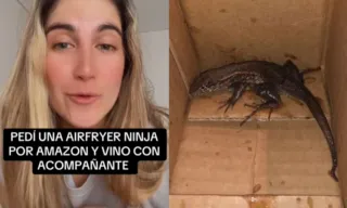 Imagem ilustrativa da imagem Mulher compra air fryer online e recebe um lagarto; vídeo