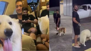 Imagem ilustrativa da imagem Nattan reage após 'sequestro' de pets por dupla famosa; vídeos
