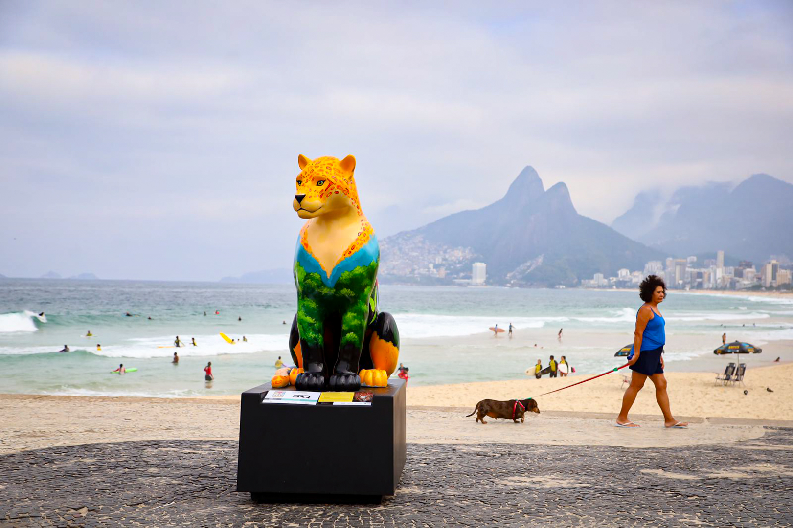 Imagem ilustrativa da imagem Onças-pintadas 'visitam' calçadão de praia carioca e encantam