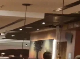 Imagem ilustrativa da imagem Parte de teto cai dentro de restaurante famoso em Niterói; vídeo