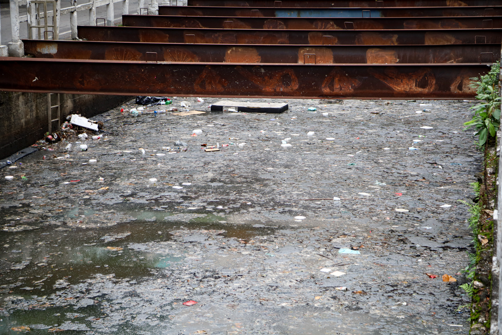 Imagem ilustrativa da imagem Que fedor! Canal vira lixão e leva perigo a moradores de Icaraí
