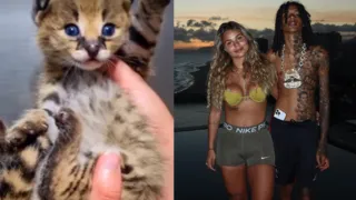 Imagem ilustrativa da imagem Rapper Oruam presenteia namorada com gato de R$ 120 mil