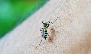 Imagem ilustrativa da imagem São Gonçalo segue com pulverização contra mosquito da dengue
