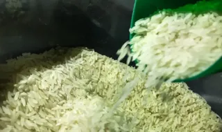 Imagem ilustrativa da imagem Tragédia no RS: Brasil importará arroz para evitar aumento de preço