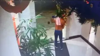 Imagem ilustrativa da imagem Vídeo: homem invade prédio no Rio e rouba árvore de natal