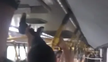 Imagem da matéria
