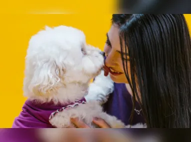 Imagem ilustrativa da imagem Você tem o hábito de 'beijar seu pet?' O que você precisa saber