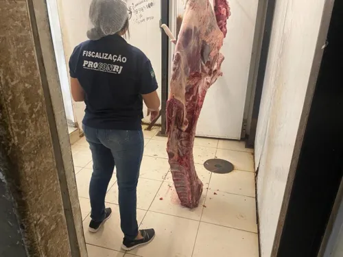 Peças inteiras de carnes foram encontradas em contato direto com o chão, expostas às moscas e sem refrigeração