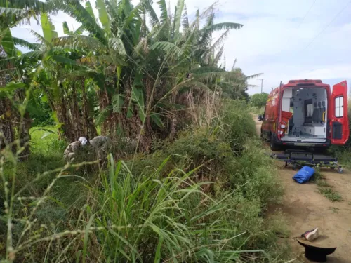 Eles foram encontrados feridos na manhã posterior ao crime