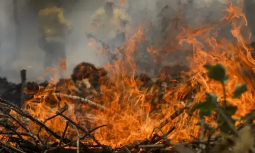 Cenário de incêndio no Pantanal é agravado pela forte ventania na região