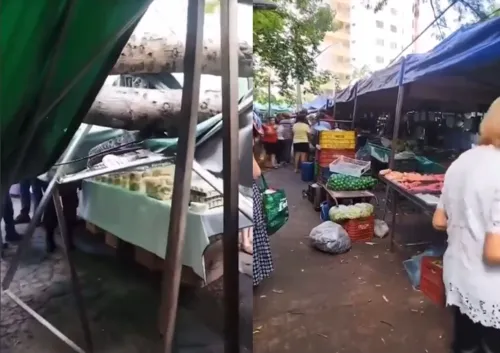 Caso aconteceu em Goiânia