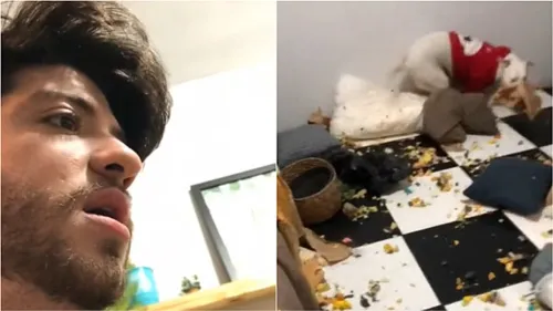 Cachorro ainda faz a festa enquanto dono briga com ele