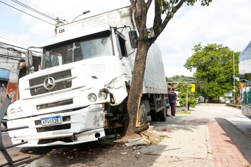 O caminhão invadiu a baia dos ônibus e colidiu contra uma árvore