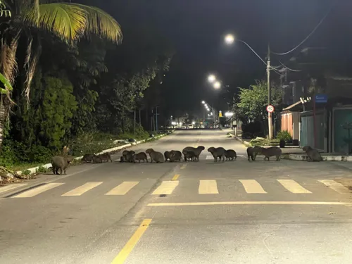 Grupo foi flagrado na esquina das ruas 36 e 18, no Jardim Atlântico Oeste, em Itaipuaçu